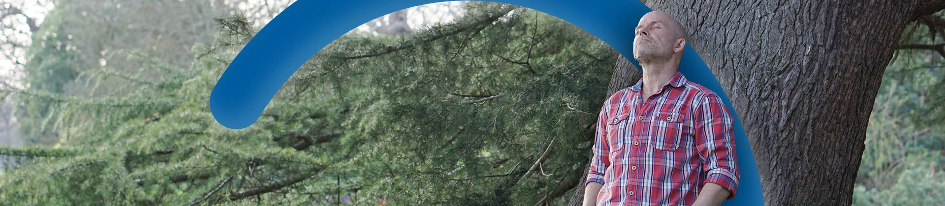 SW-Domeinen-Zorgverlening-1920x420.webp